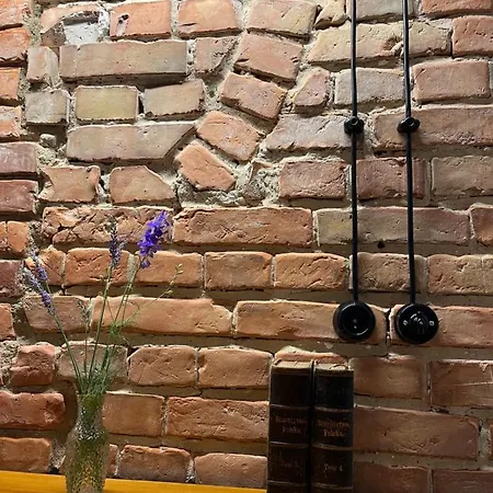 Lipowa Loft *